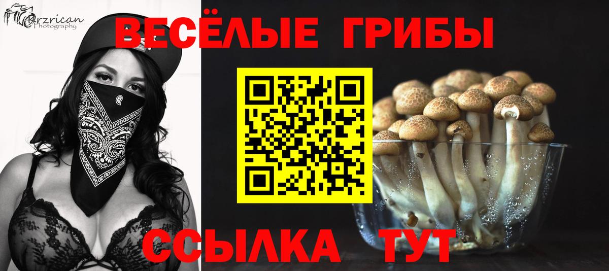 Оренбург  Галлюциногенные грибы Magic Shrooms  Вход с VPN 