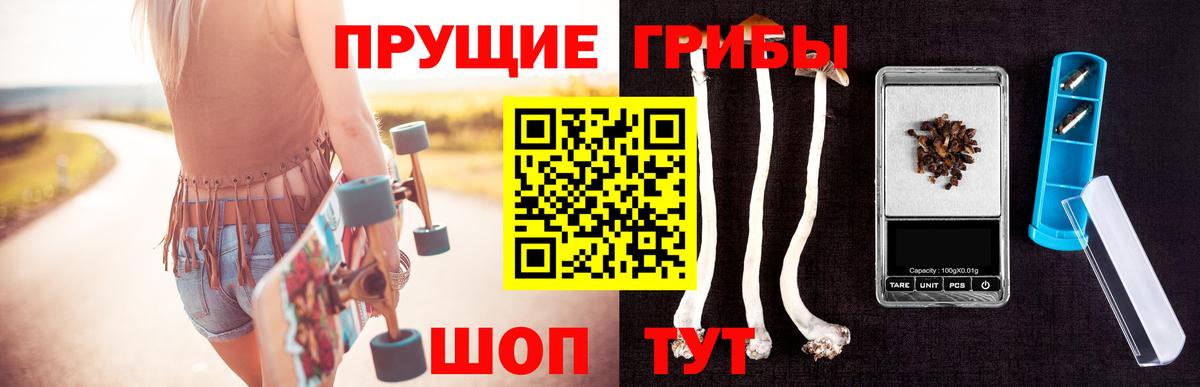 Псилоцибиновые грибы мицелий Оренбург